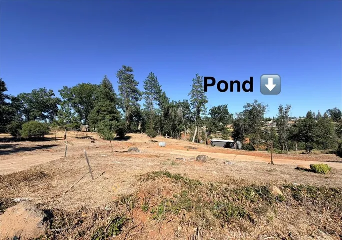 Pond in neighbors property