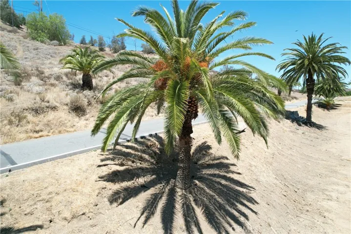 1 Palm Drive, Lake Elsinore, California 92530