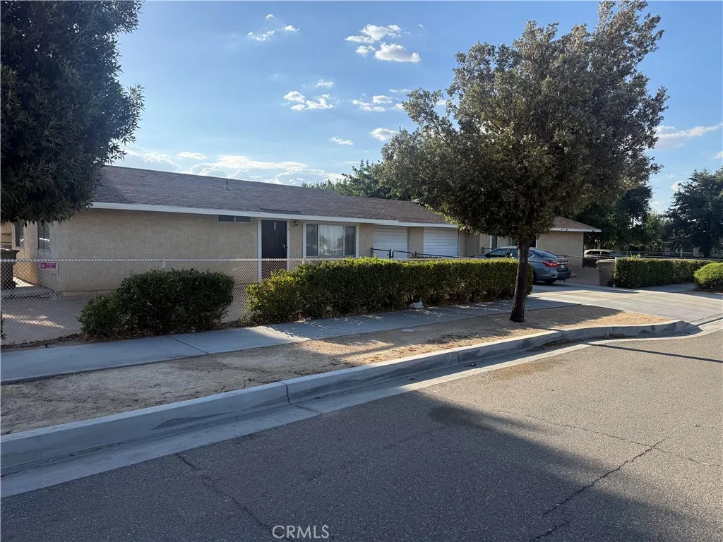 16503 Smoke Tree