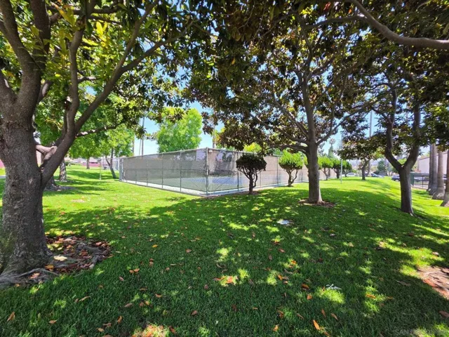 2531 Caminito Hiedra, San Diego, California 92154