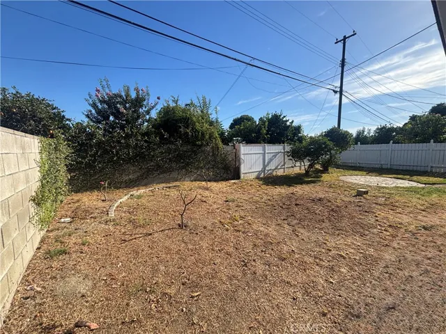 Back yard