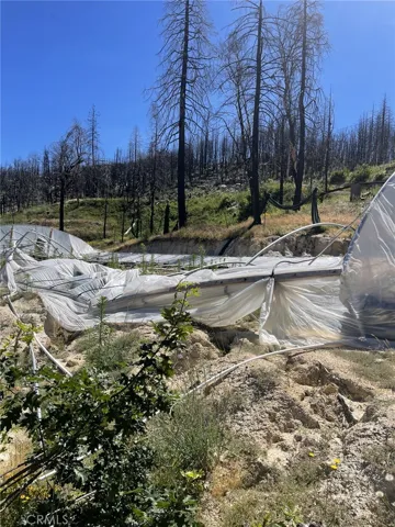 2701 Bald Rock, Berry Creek, California 95916