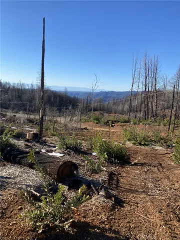 45 Fox Hill, Berry Creek, California 95916