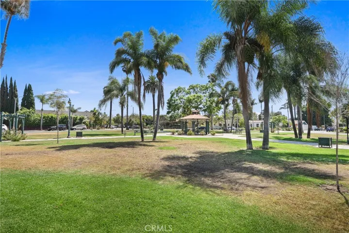 Rose Park