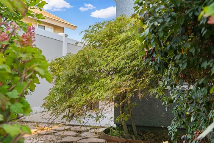 15532 Ficus, Chino Hills, California 91709