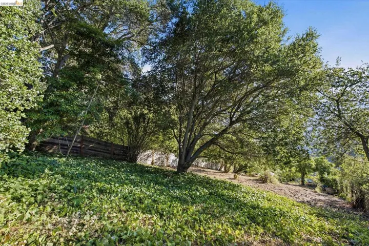 Natural landscaping featuring mature trees and ground cover