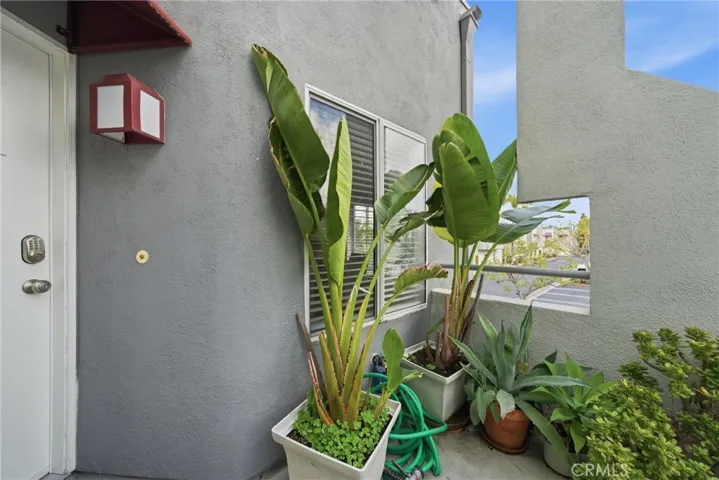 Inviting entry landing enhanced by surrounding greenery.