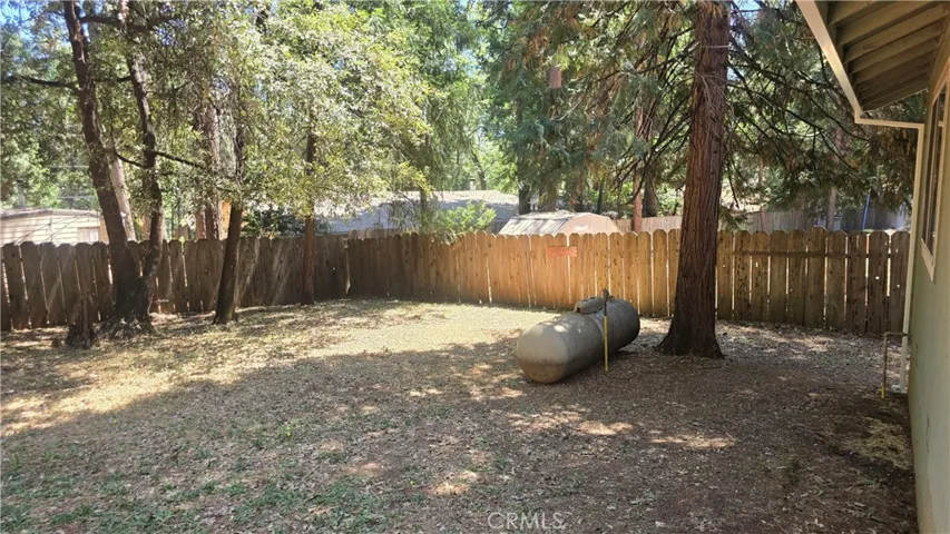 back yard view to right