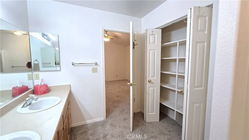 extra storage in bathroom