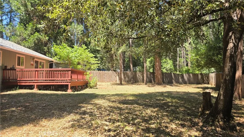 another view across back yard
