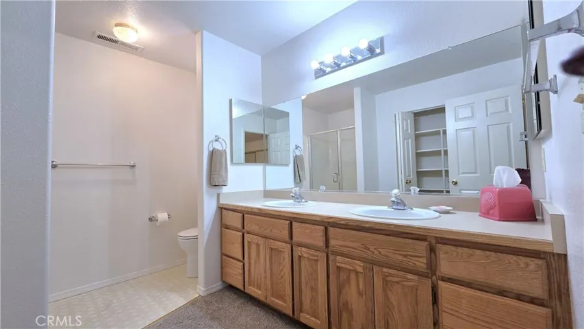 dual sinks in bath