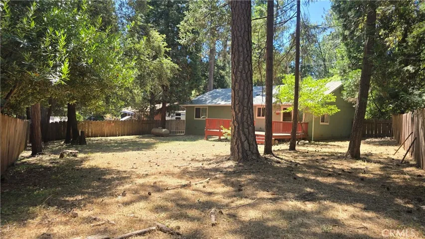 big fenced back yard