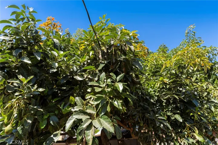 2725 Adriatic Avenue, Long Beach, California 90810