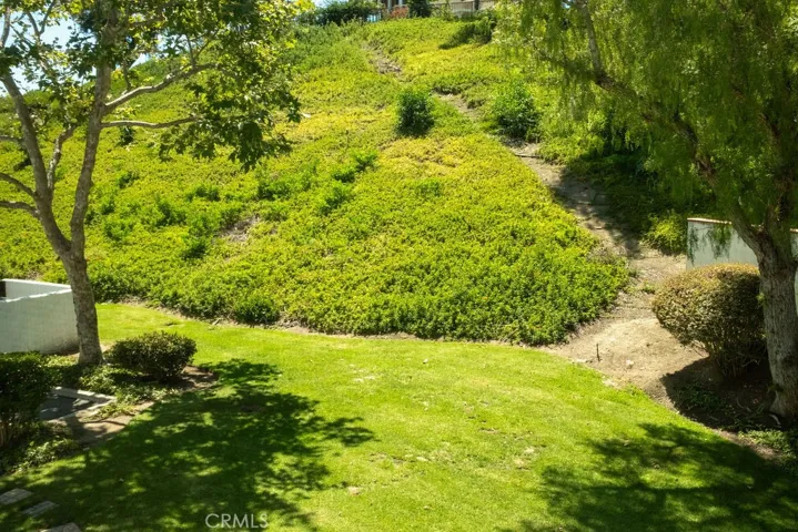 Greenbelt immediately off of patio.