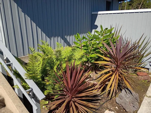 51 Cielo Vista Drive, Monterey, California 93940