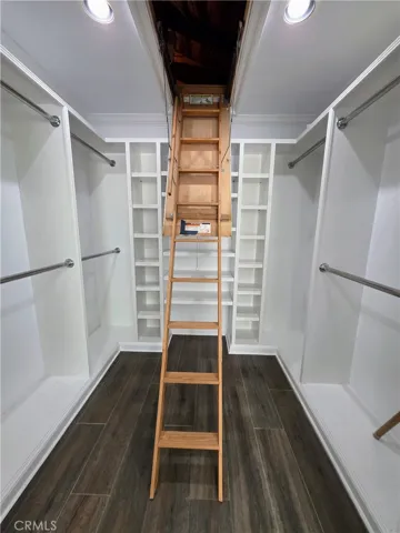 Primary Closet