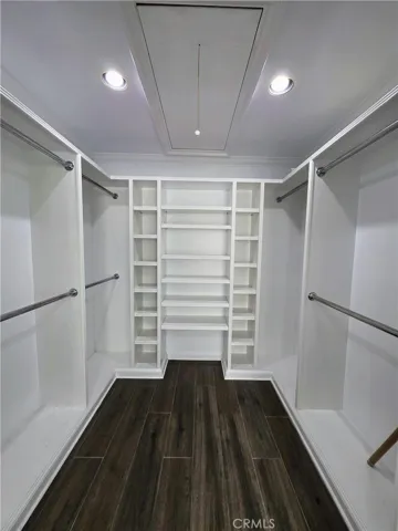 Primary Closet