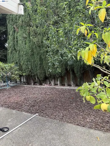 3885 Aragon Lane, San Ramon, California 94583