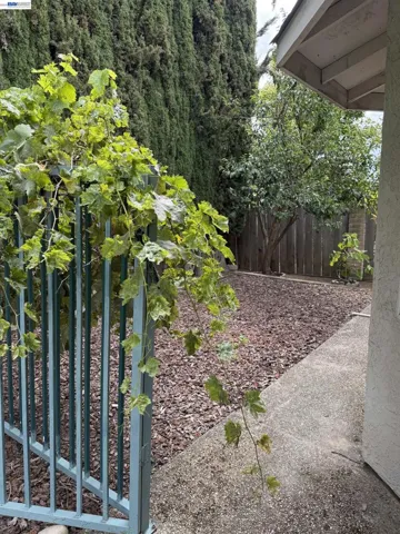 3885 Aragon Lane, San Ramon, California 94583