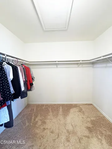 Primary Closet