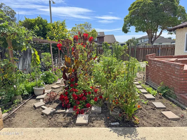Back Garden Medium