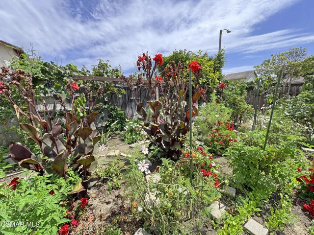 Back Garden Medium 2