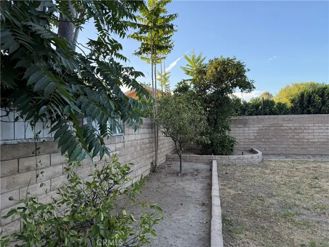 BACKYARD 2