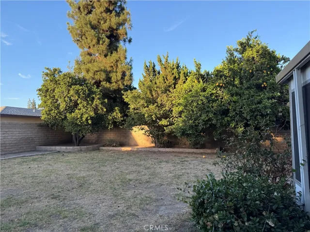 BACKYARD 3
