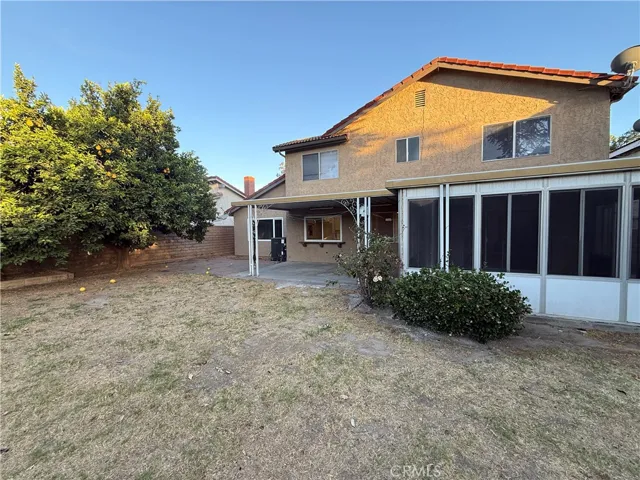 BACKYARD 1