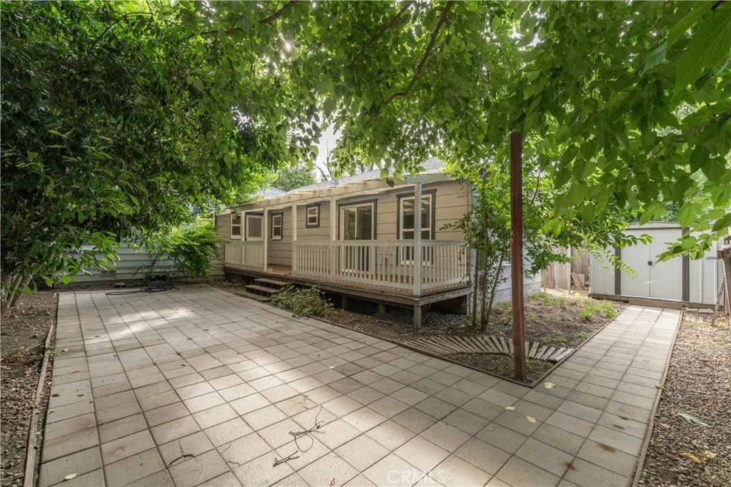 Front House Backyard