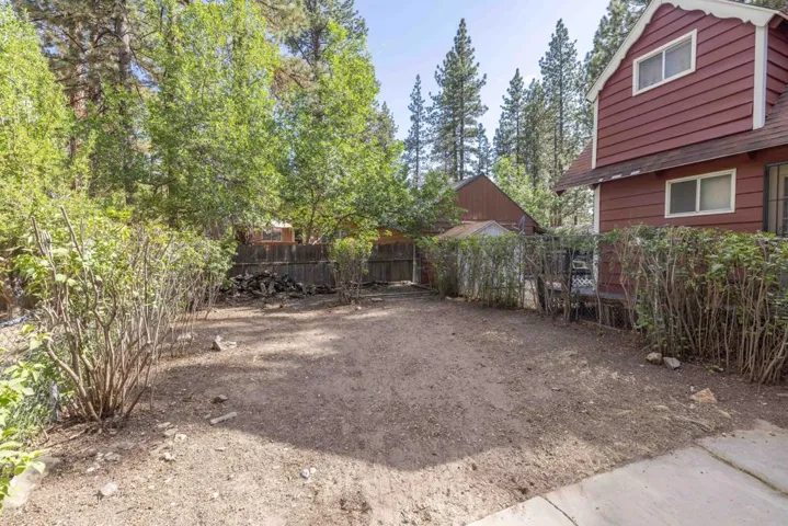 005_Back yard 4