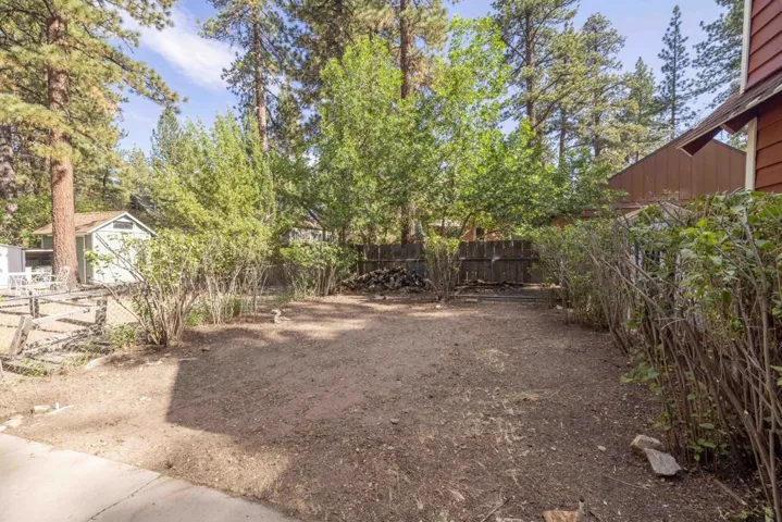 004_Back yard 3