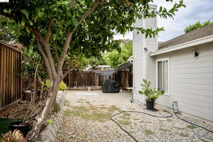 Expansive outdoor space featuring a mature tree, gravel ground cover, and a combination of wood fencing and siding