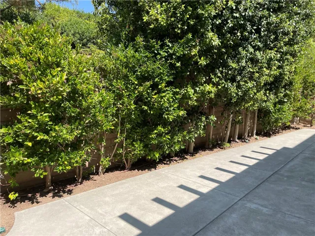 182 Working Ranch, Irvine, California 92602