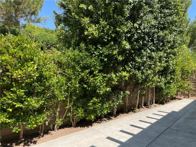 182 Working Ranch, Irvine, California 92602