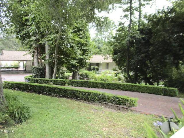 Linda Vista #15
