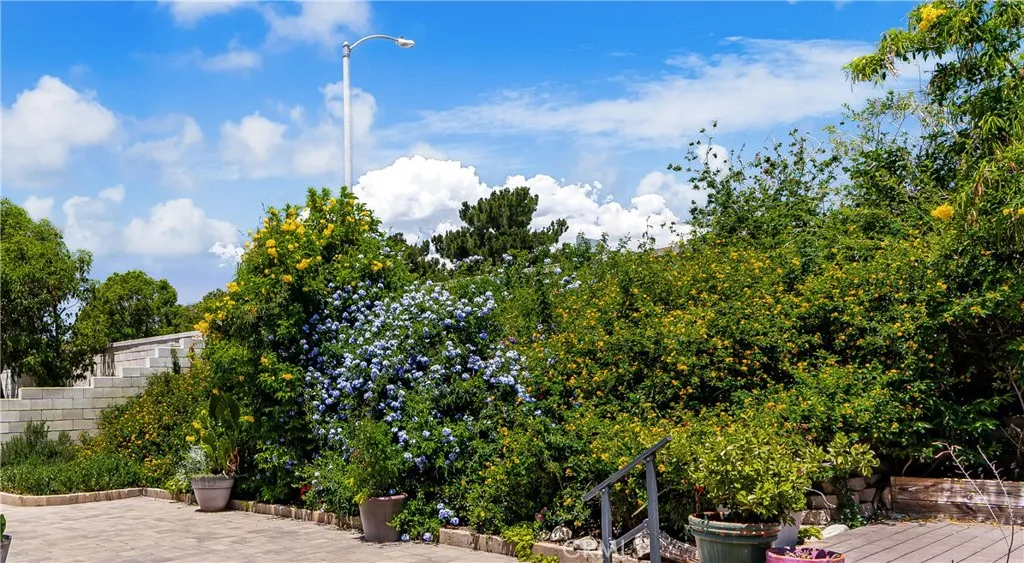 Marture plants and shrubs...a butterfly paradise.