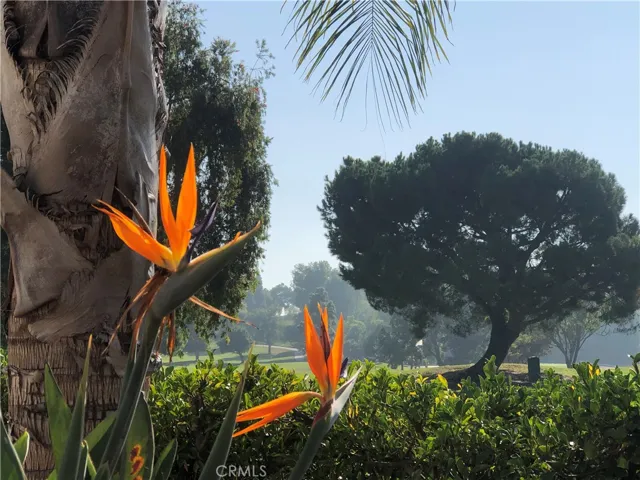 2022 Via Mariposa East B, Laguna Woods, California 92637