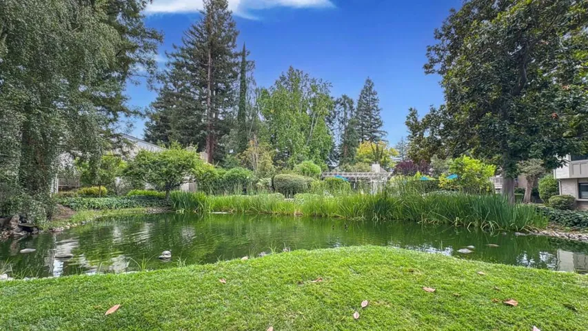 19220 Vineyard Lane, Saratoga, California 95070
