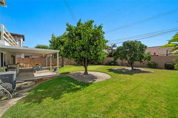 Such a Great Backyard