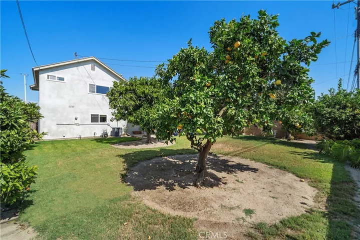  Park-like backyard is a tranquil oasis with an expansive covered patio, sprawling lawn, manicured gardens, lush foliage, ornamental trees, beautiful lily of the Nile, and an abundance of fruit trees, including lemon, orange, grapefruit, mandarin orange, and Bartlett pear.