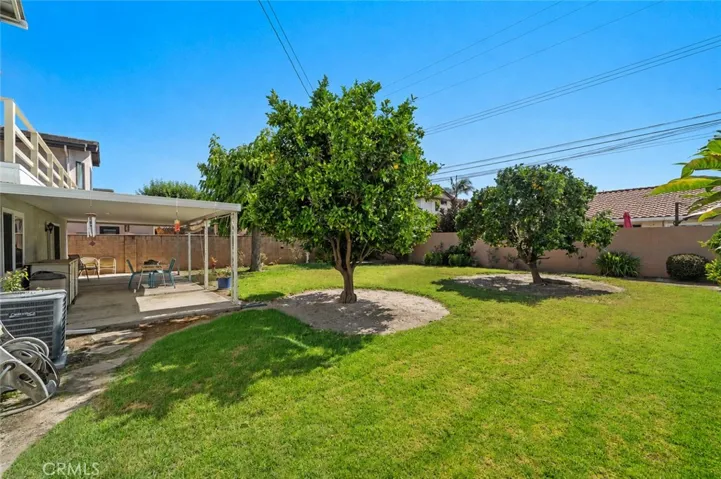 Tranquil Park-Like Backyard with Lots of Fruit Trees and Covered Patio