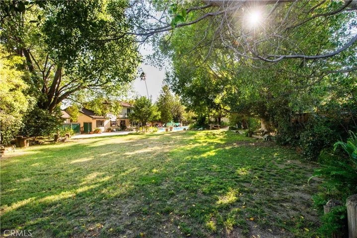 Huge backyard grass area