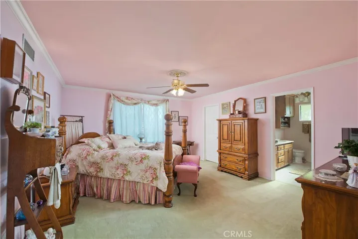 Primary bedroom with walk-in closet