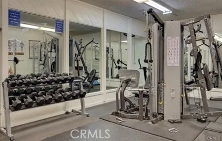 Weights in Fitness Center