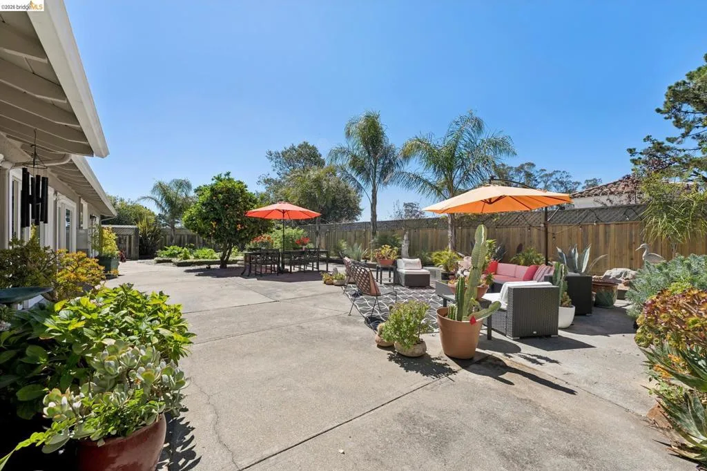 Backyard Entertaining Space