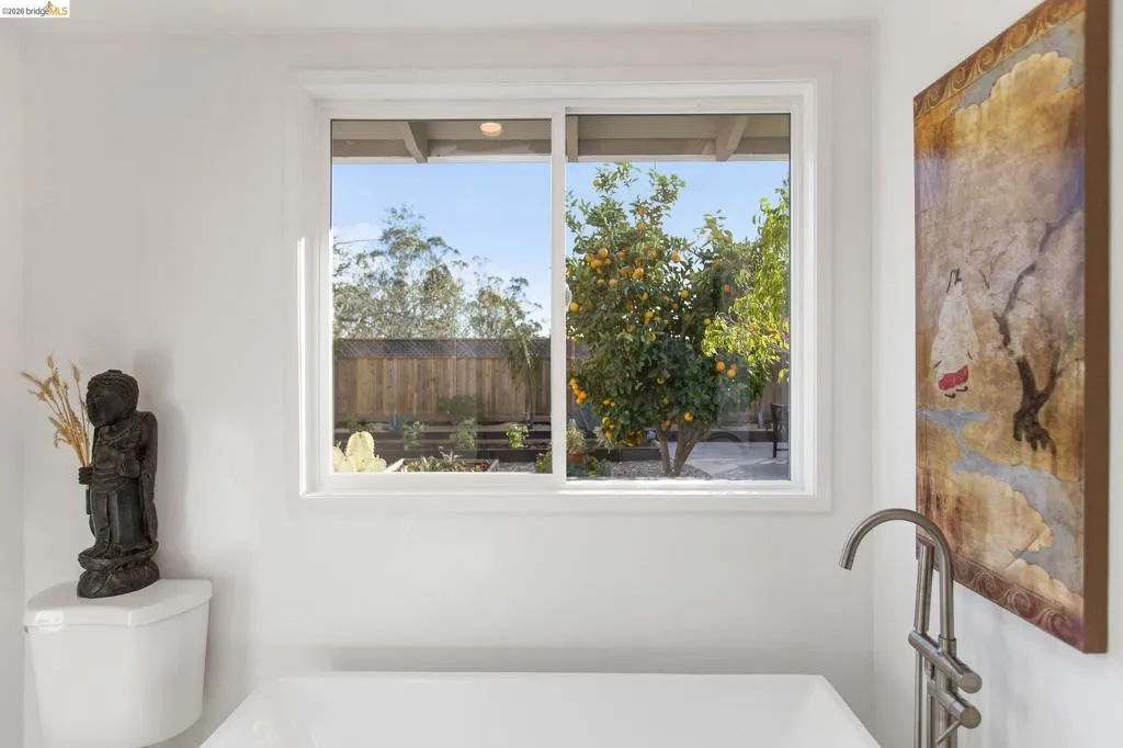 View from Primary Bathtub