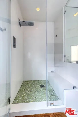 Primary Shower