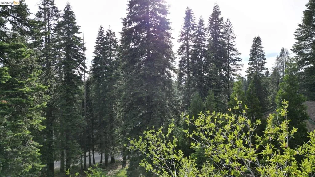 Looking through the trees of the property below. Looking through the trees of the property below.