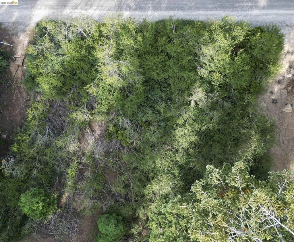 View from above. View from above.